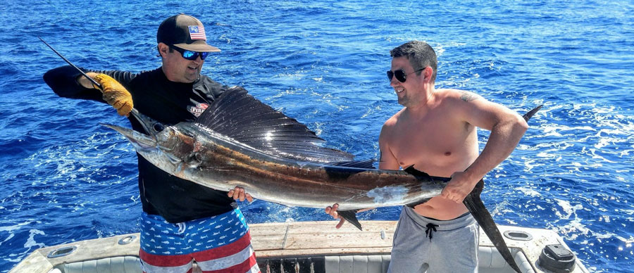 Nice Sailfish caught offshore with Fired Up Charters