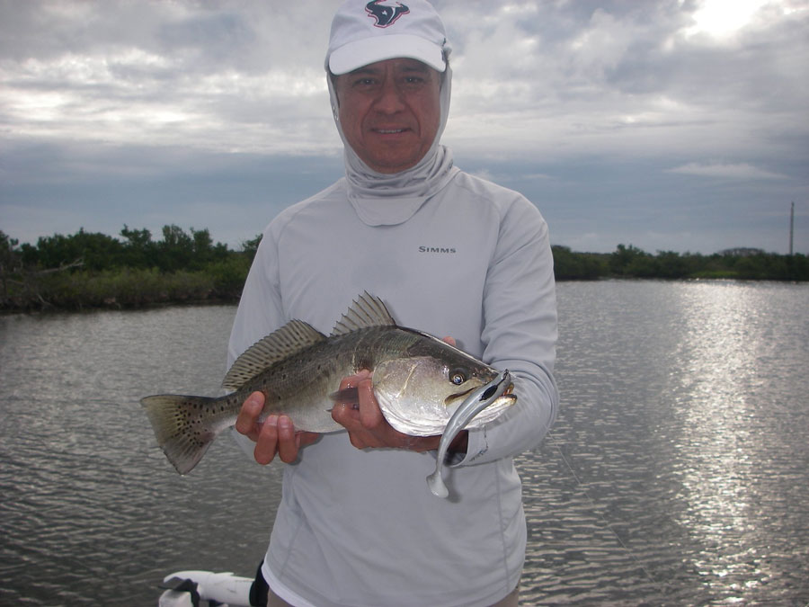 Topwater Tony pursues a 10lb trophy trout in the Indian River Lagoon with Capt. Mark Wright