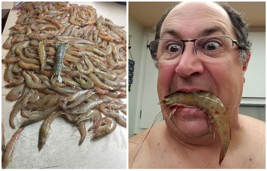 good shrimping still happening in south Brevard