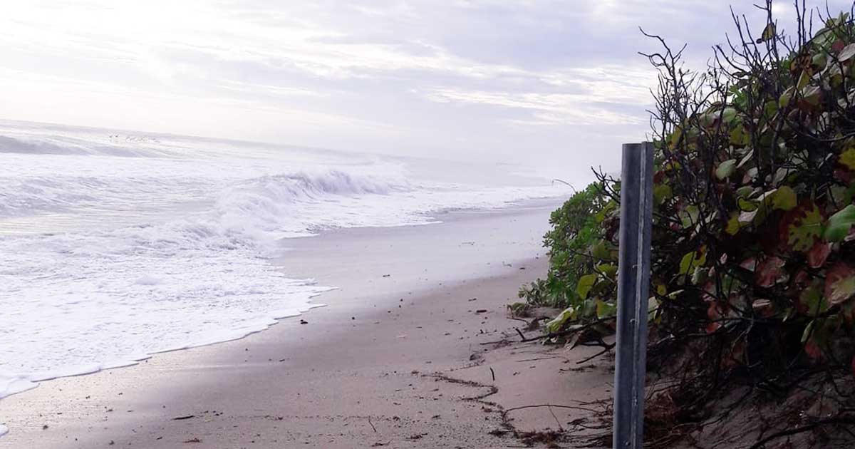 Treasure Coast Beach Erosion