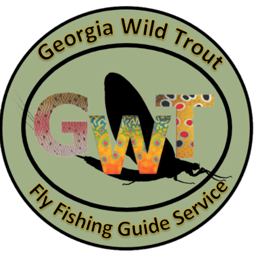 North Georgia Trout and Fly Fishing
